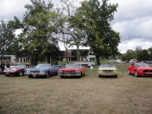 M§ORNANT 013 (Large)