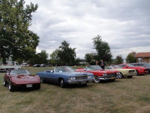 M§ORNANT 015 (Large)