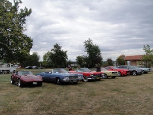 M§ORNANT 016 (Large)