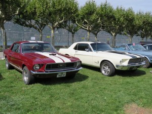 2017-08-27 Aix (12) (Large)
