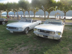 IMG 2988 (Large)