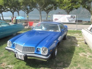 IMG 3002 (Large)