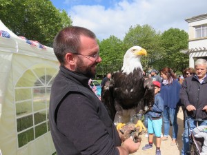 La Tour 2017-09-10 (1)