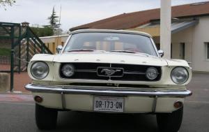V8 (50)
