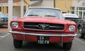 V8 (51)