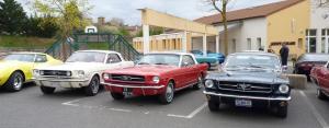 V8 (70)