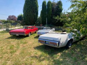 1c021bb5-e5c4-40cb-9062-b4bd46b2948b