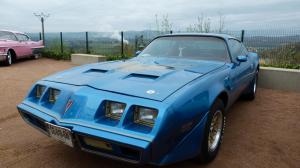 PONTIAC Firebird 1979 2